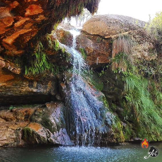 Fotografía