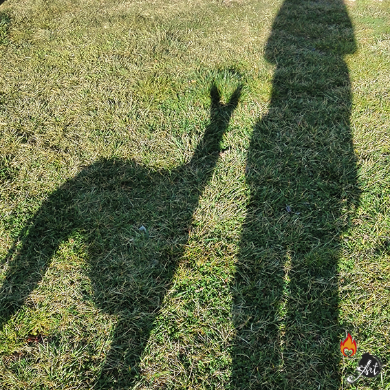 Fotografía